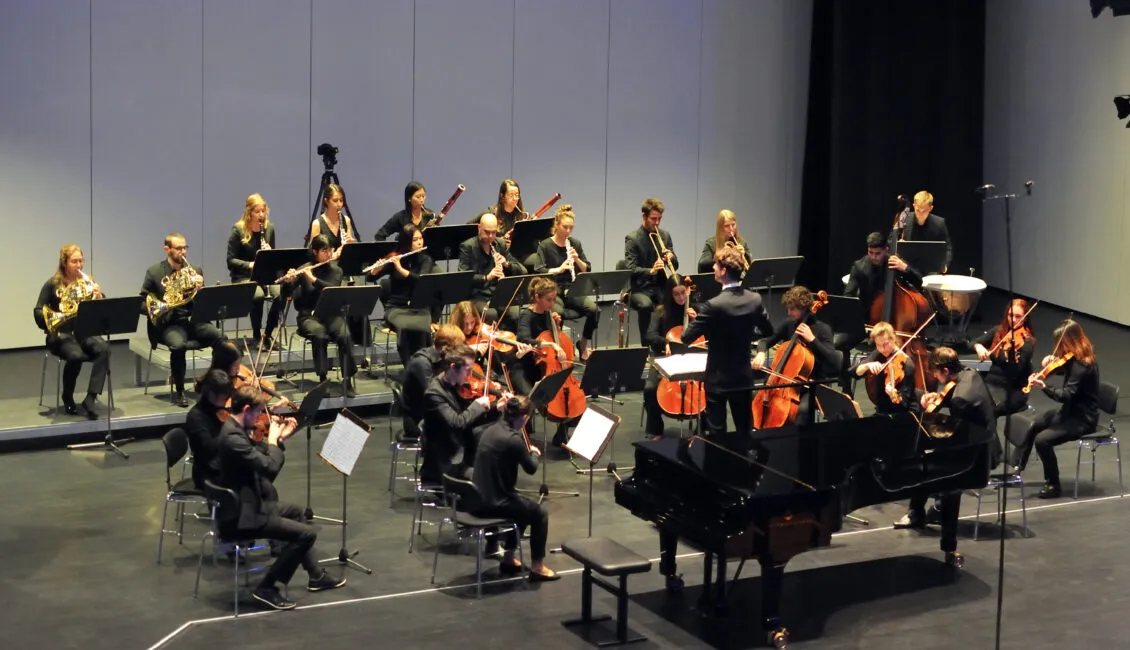 Trossinger Camerata_(c)HfM Trossingen